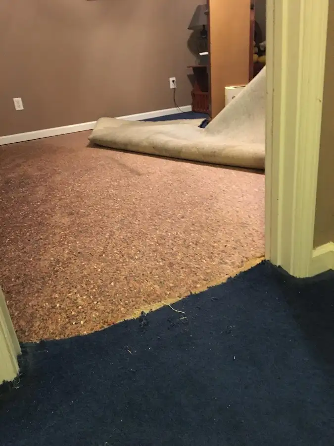 Carpet pad removal revealing water damage during Drying & Dehumidification in La Habra Heights