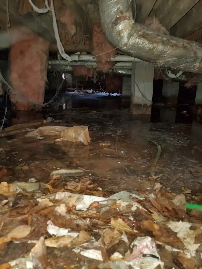 Crawl space flood assessment for Commercial Water Damage Restoration in La Habra Heights
