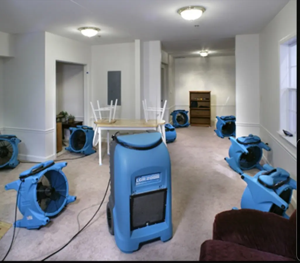 Air movers and dehumidifier setup for Water Extraction & Removal in La Habra Heights